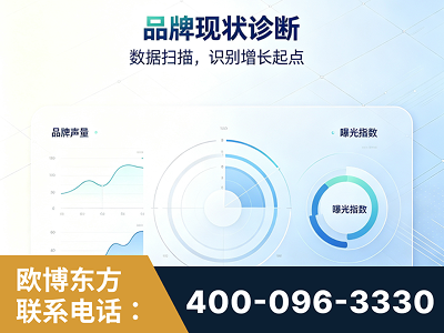 丰镇-品牌现状诊断