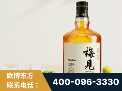 丰镇-梅见青梅酒